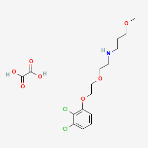 molecular formula C16H23Cl2NO7 B5119870 N-[2-[2-(2,3-dichlorophenoxy)ethoxy]ethyl]-3-methoxypropan-1-amine;oxalic acid 