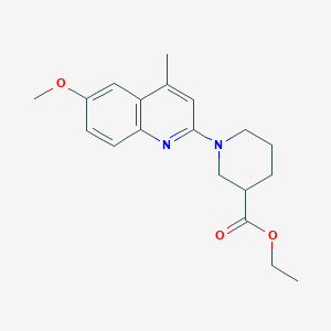 molecular formula C19H24N2O3 B5126766 Ethyl 1-(6-methoxy-4-methylquinolin-2-yl)piperidine-3-carboxylate 