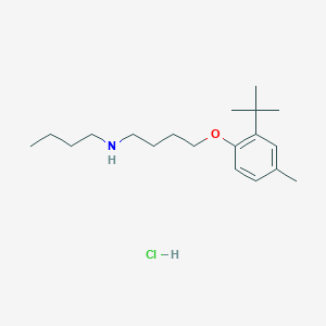 molecular formula C19H34ClNO B5136871 N-butyl-4-(2-tert-butyl-4-methylphenoxy)butan-1-amine;hydrochloride 