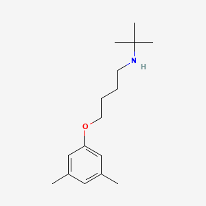molecular formula C16H27NO B5144639 N-tert-butyl-4-(3,5-dimethylphenoxy)butan-1-amine 