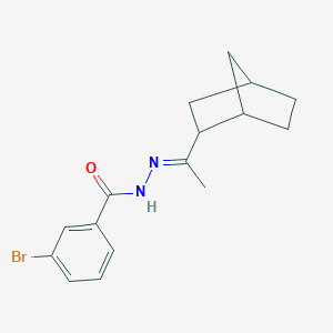 molecular formula C16H19BrN2O B515481 N'-[(1E)-1-(bicyclo[2.2.1]hept-2-yl)ethylidene]-3-bromobenzohydrazide 