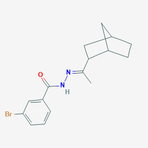 N'-[(1E)-1-(bicyclo[2.2.1]hept-2-yl)ethylidene]-3-bromobenzohydrazide