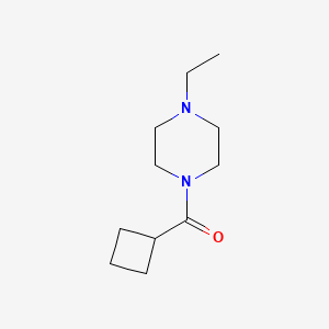 molecular formula C11H20N2O B5156087 CYCLOBUTYL(4-ETHYLPIPERAZINO)METHANONE 