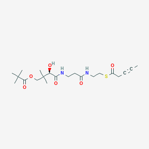 molecular formula C21H34N2O6S B051573 3-Pentynoyl-S-pantetheine-11-pivalate CAS No. 119072-37-6