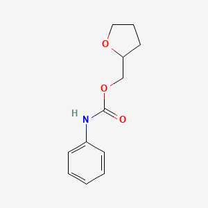molecular formula C12H15NO3 B5158244 Phenyl-carbamic acid tetrahydro-furan-2-ylmethyl ester CAS No. 7505-02-4