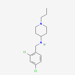 molecular formula C15H22Cl2N2 B5160989 N-[(2,4-dichlorophenyl)methyl]-1-propylpiperidin-4-amine 
