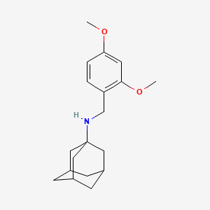 molecular formula C19H27NO2 B5167560 N-(1-ADAMANTYL)-N-(2,4-DIMETHOXYBENZYL)AMINE 