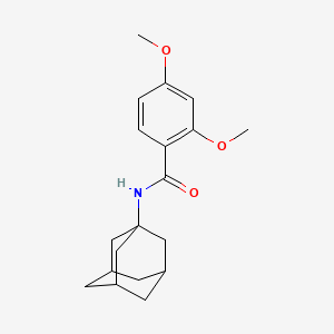 molecular formula C19H25NO3 B5170362 N-(adamantan-1-yl)-2,4-dimethoxybenzamide 
