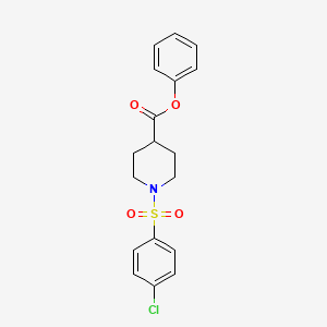 molecular formula C18H18ClNO4S B5190312 Phenyl 1-(4-chlorophenyl)sulfonylpiperidine-4-carboxylate 