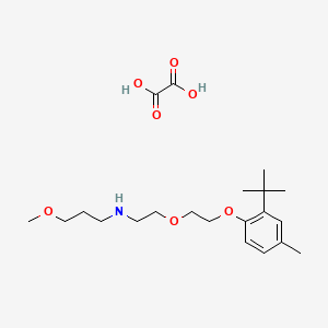 molecular formula C21H35NO7 B5193179 N-[2-[2-(2-tert-butyl-4-methylphenoxy)ethoxy]ethyl]-3-methoxypropan-1-amine;oxalic acid 