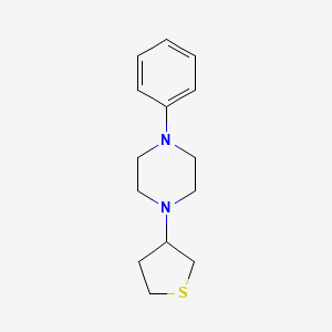 molecular formula C14H20N2S B5197183 1-phenyl-4-(thiolan-3-yl)piperazine 
