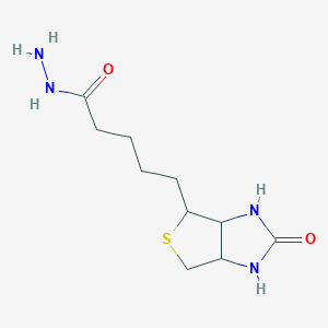 molecular formula C10H18N4O2S B5211580 Biotin hydrazide HCl 