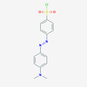 molecular formula C14H14ClN3O2S B052184 Dabsyl chloride CAS No. 56512-49-3