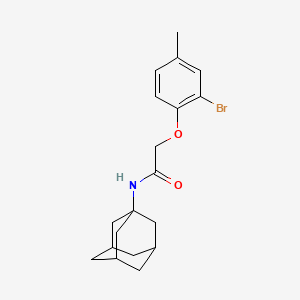 molecular formula C19H24BrNO2 B5218939 N-(ADAMANTAN-1-YL)-2-(2-BROMO-4-METHYLPHENOXY)ACETAMIDE 