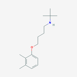 molecular formula C16H27NO B5222369 N-tert-butyl-4-(2,3-dimethylphenoxy)butan-1-amine 
