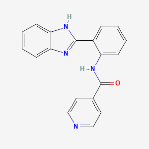 molecular formula C19H14N4O B5275943 N-[2-(1H-benzimidazol-2-yl)phenyl]pyridine-4-carboxamide 