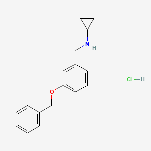 molecular formula C17H20ClNO B5303792 N-[(3-phenylmethoxyphenyl)methyl]cyclopropanamine;hydrochloride 