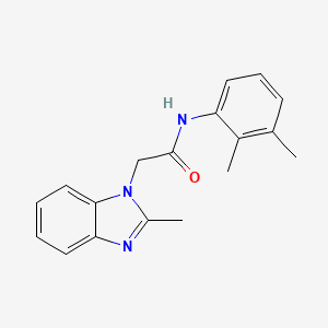 molecular formula C18H19N3O B5314820 N-(2,3-dimethylphenyl)-2-(2-methylbenzimidazol-1-yl)acetamide 