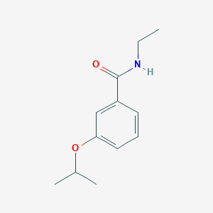 molecular formula C12H17NO2 B5318571 N-ethyl-3-propan-2-yloxybenzamide 