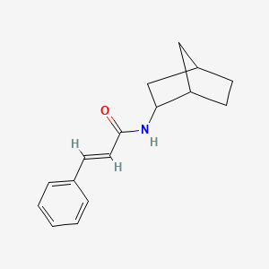 molecular formula C16H19NO B5320622 N-bicyclo[2.2.1]hept-2-yl-3-phenylacrylamide 