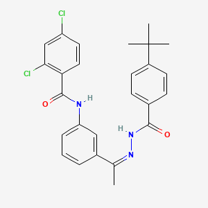 molecular formula C26H25Cl2N3O2 B5334822 N-{3-[N-(4-tert-butylbenzoyl)ethanehydrazonoyl]phenyl}-2,4-dichlorobenzamide 