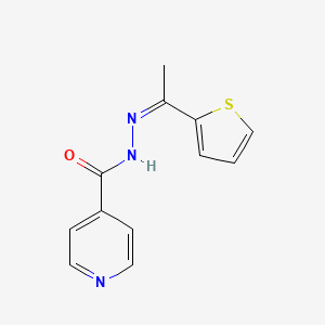 molecular formula C12H11N3OS B5337507 N'-[1-(2-thienyl)ethylidene]isonicotinohydrazide 