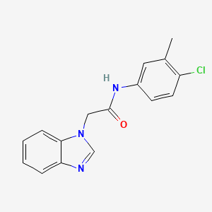 molecular formula C16H14ClN3O B5337951 2-(1H-benzimidazol-1-yl)-N-(4-chloro-3-methylphenyl)acetamide 