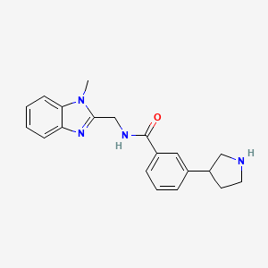 molecular formula C20H22N4O B5338610 N-[(1-methyl-1H-benzimidazol-2-yl)methyl]-3-(3-pyrrolidinyl)benzamide dihydrochloride 