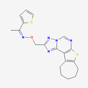 molecular formula C19H19N5OS2 B5340968 1-(2-thienyl)ethanone O-(9,10,11,12-tetrahydro-8H-cyclohepta[4,5]thieno[3,2-e][1,2,4]triazolo[1,5-c]pyrimidin-2-ylmethyl)oxime 