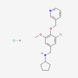molecular formula C19H24Cl2N2O2 B5346646 N-[3-chloro-5-methoxy-4-(3-pyridinylmethoxy)benzyl]cyclopentanamine hydrochloride 