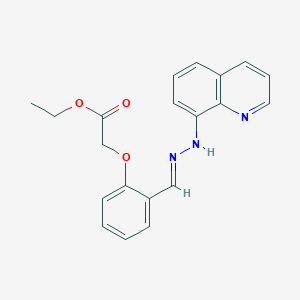 molecular formula C20H19N3O3 B5347237 ethyl {2-[2-(8-quinolinyl)carbonohydrazonoyl]phenoxy}acetate 