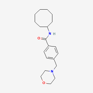 molecular formula C20H30N2O2 B5359597 N-cyclooctyl-4-(morpholin-4-ylmethyl)benzamide 