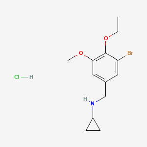 molecular formula C13H19BrClNO2 B5364721 N-[(3-bromo-4-ethoxy-5-methoxyphenyl)methyl]cyclopropanamine;hydrochloride 