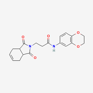 molecular formula C19H20N2O5 B5365820 N-(2,3-dihydro-1,4-benzodioxin-6-yl)-3-(1,3-dioxo-3a,4,7,7a-tetrahydroisoindol-2-yl)propanamide 
