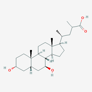 23-Methylursodeoxycholic acid