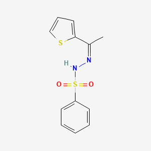 molecular formula C12H12N2O2S2 B5372703 N-[(Z)-1-thiophen-2-ylethylideneamino]benzenesulfonamide 