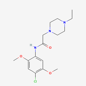 molecular formula C16H24ClN3O3 B5378554 N-(4-chloro-2,5-dimethoxyphenyl)-2-(4-ethylpiperazin-1-yl)acetamide 