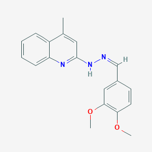 molecular formula C19H19N3O2 B5389903 N-[(Z)-(3,4-dimethoxyphenyl)methylideneamino]-4-methylquinolin-2-amine 