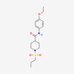 molecular formula C17H26N2O4S B5389958 N-(4-ethoxyphenyl)-1-propylsulfonylpiperidine-4-carboxamide 