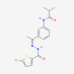 molecular formula C17H18ClN3O2S B5391816 N-(3-{N-[(5-chloro-2-thienyl)carbonyl]ethanehydrazonoyl}phenyl)-2-methylpropanamide 