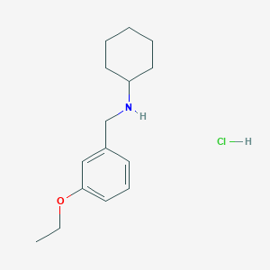 molecular formula C15H24ClNO B5399195 N-[(3-ethoxyphenyl)methyl]cyclohexanamine;hydrochloride CAS No. 1049678-20-7