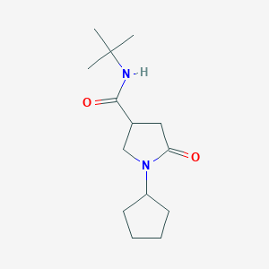 molecular formula C14H24N2O2 B5401678 N-tert-butyl-1-cyclopentyl-5-oxopyrrolidine-3-carboxamide 