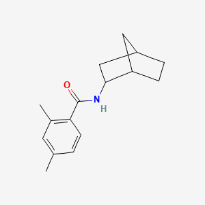 molecular formula C16H21NO B5412227 N-bicyclo[2.2.1]hept-2-yl-2,4-dimethylbenzamide 