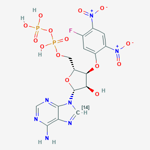 3'-O-(5-Fluoro-2,4-dinitrophenyl)ADP ether