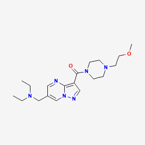 molecular formula C19H30N6O2 B5416171 N-ethyl-N-[(3-{[4-(2-methoxyethyl)piperazin-1-yl]carbonyl}pyrazolo[1,5-a]pyrimidin-6-yl)methyl]ethanamine 