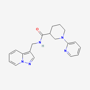 molecular formula C19H21N5O B5418688 N-(pyrazolo[1,5-a]pyridin-3-ylmethyl)-1-pyridin-2-ylpiperidine-3-carboxamide 
