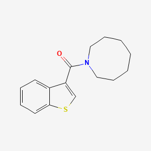 molecular formula C16H19NOS B5422148 Azocan-1-yl(1-benzothiophen-3-yl)methanone 