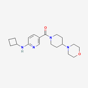 molecular formula C19H28N4O2 B5423856 N-cyclobutyl-5-[(4-morpholin-4-ylpiperidin-1-yl)carbonyl]pyridin-2-amine 