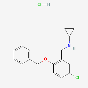 molecular formula C17H19Cl2NO B5423967 N-[(5-chloro-2-phenylmethoxyphenyl)methyl]cyclopropanamine;hydrochloride 