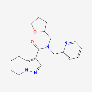 molecular formula C19H24N4O2 B5424564 N-(pyridin-2-ylmethyl)-N-(tetrahydrofuran-2-ylmethyl)-4,5,6,7-tetrahydropyrazolo[1,5-a]pyridine-3-carboxamide 